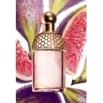 Guerlain Aqua Allegoria Figue-Iris - фото 50150