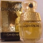 Yves Saint Laurent Champagne - фото 56968