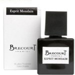 Brecourt Esprit Mondain