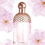 Guerlain Aqua Allegoria Cherry Blossom