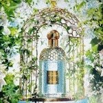 Guerlain Aqua Allegoria Teazzurra