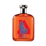 Ralph Lauren Big Pony Collection 4