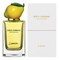 D&G Fruit Collection Lemon - фото 66531