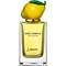 D&G Fruit Collection Lemon - фото 66532